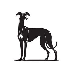 Spanish Greyhound Silhouette - Spanish Greyhound Vector - Minimalist Spanish Greyhound Dog Design.
