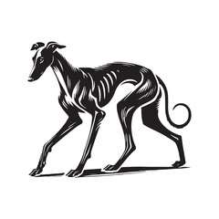 Obraz premium Spanish Greyhound Silhouette - Spanish Greyhound Vector - Minimalist Spanish Greyhound Dog Design.