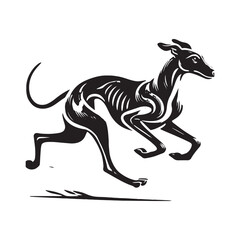 Spanish Greyhound Silhouette - Spanish Greyhound Vector - Minimalist Spanish Greyhound Dog Design.