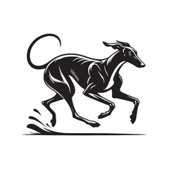 Spanish Greyhound Silhouette - Spanish Greyhound Vector - Minimalist Spanish Greyhound Dog Design.