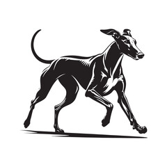 Obraz premium Spanish Greyhound Silhouette - Spanish Greyhound Vector - Minimalist Spanish Greyhound Dog Design.