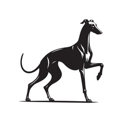 Spanish Greyhound Silhouette - Spanish Greyhound Vector - Minimalist Spanish Greyhound Dog Design.