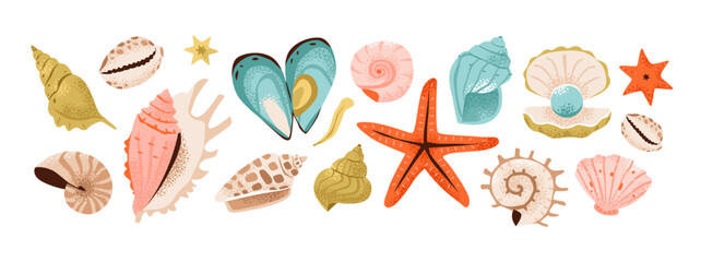 Shells and underwater elements: seashells, pearls, starfish, nautilus to scallops. Vibrant flat vector illustration of marine treasures.