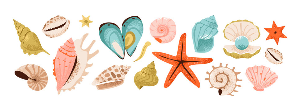 Shells and underwater elements: seashells, pearls, starfish, nautilus to scallops. Vibrant flat vector illustration of marine treasures.
