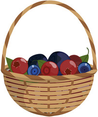 Blueberries and red bilberries in wicker baskets. PNG format