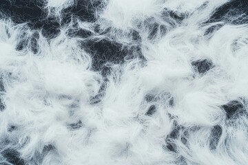 Fototapeta premium A soft focus close-up captures the abstract beauty of a natural background featuring reed grass