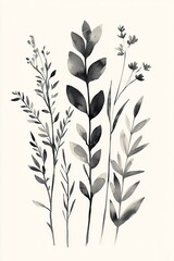 Elegant, Minimalist Black and White Illustration of Stylized Grasses on Plain Background.