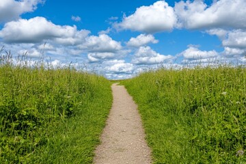 A narrow dirt path winding through a field of tall wild grasses leading to a distant farmhouse