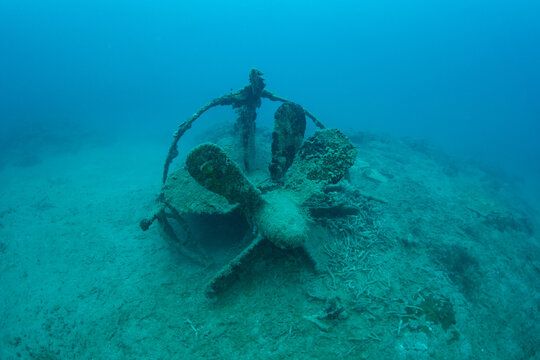 小笠原の海に沈む特殊潜航艇　戦跡