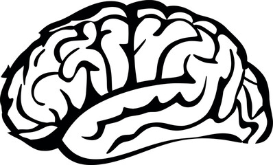 A highly detailed human brain with intricate textures and vibrant colors, symbolizing intelligence, creativity, and mental energy. Perfect for concepts related to neuroscience, cognition, and innovati