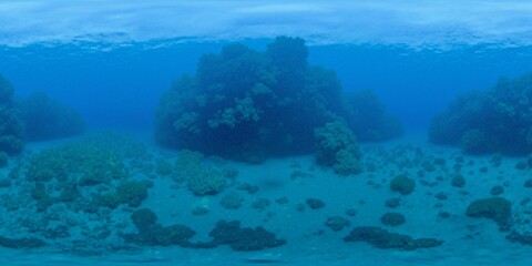 Underwater world - Equirectangular 360 degree landscape