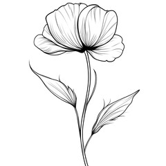 Delicate flower drawing with detailed petals and leaves in line art high resolution picture