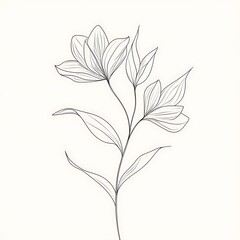 Delicate flower illustration with vintage style and fine line art high resolution picture