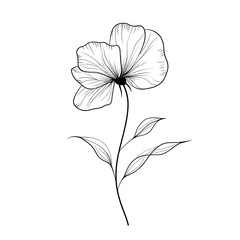 Minimalist flower sketch with detailed petals and leaves in line art high resolution picture