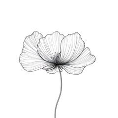 Fototapeta premium Minimalist vintage flower drawing with delicate and fine line details high resolution picture