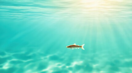 Fototapeta premium Clear water with a single fish swimming, natural setting, soft natural lighting,