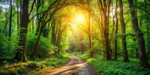 Fototapeta premium A winding dirt path disappears into the dense foliage of a vibrant forest, with sunlight filtering through the trees in dappled patterns , nature, solitude