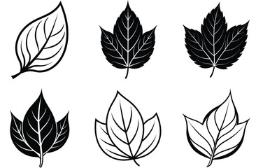 Obraz premium Stylized Illustrations of Leaves with black silhouette Outlines and Fills