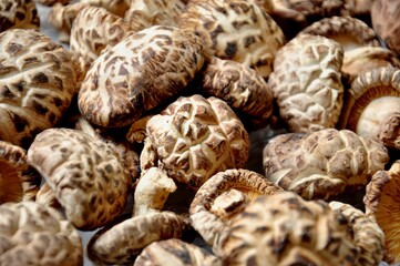 A close-up shot of dried shiitake mushrooms