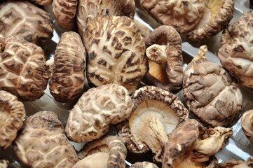 A close-up shot of dried shiitake mushrooms