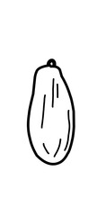 vector illustration of Papaya