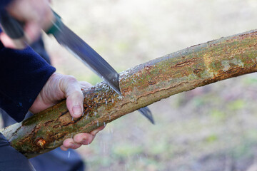 coupe © david delecourt