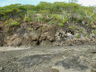 Trees growing on the cliffs on the rocky shore on Matapalo beach in Guanacaste, Costa Rica