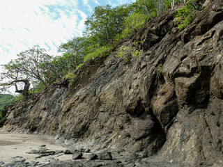 Trees growing on the cliffs on the rocky shore on Matapalo beach in Guanacaste, Costa Rica