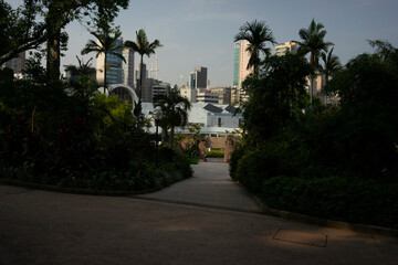 hong kong landscape