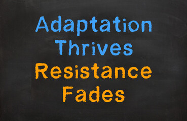 Adaptation thrives, resistance fades