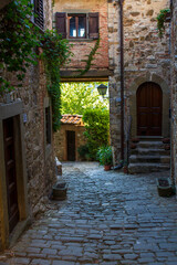Obraz premium view of he village of Montefioralle in Tuscany