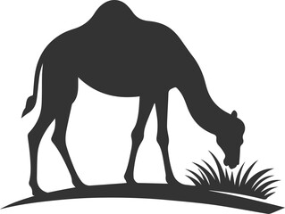Camel grazing on desert grass animal silhouette