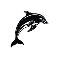 dolphin vector illustration on white background