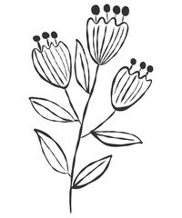 tiny wild flowers and plants line art botanical illustrations. Trendy greenery hand draw lines black ink sketches. vector illustration