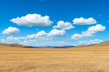 Fototapeta premium A vast golden wheat field swaying under a bright blue sky with fluffy white clouds