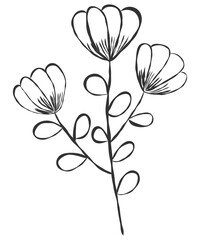 tiny wild flowers and plants line art botanical illustrations. Trendy greenery hand draw lines black ink sketches. vector illustration
