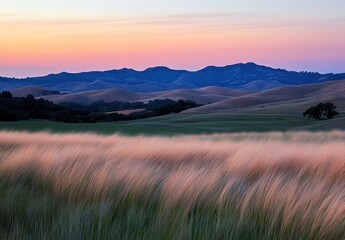 Fototapeta premium Calm and Serene Sunset Over Rolling Hills with Soft Grass and Gentle Colors of Nature in Peaceful Landscape
