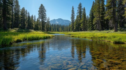 Mountain Creek Valley Reflection