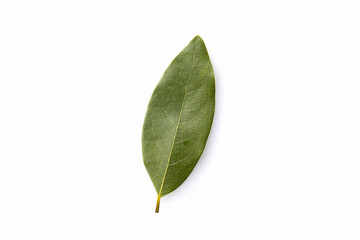 ローリエの葉　Bay leaf