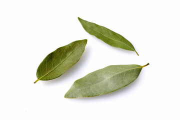 ローリエの葉　Bay leaf