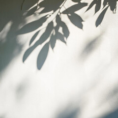 Elegant Plant Shadow on White Textured Wall – Minimalist Aesthetic, Natural Light, and Botanical Silhouette for Modern Interior Design