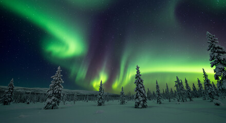 aurora borealis over the mountains