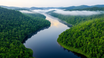 Tranquil river valley views. serene river valley blanketed in early morning mist, surrounded by lush green forests