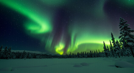 Obraz premium aurora borealis over the mountains