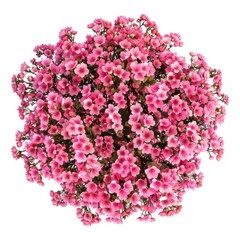 Fototapeta premium Vibrant pink floral bouquet top-view