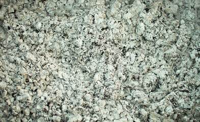 Coal and ash, full frame background. texture of ash after burning wood