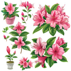 Pink Lily Bouquets With Green Leaves. Floral Vector Elements. Isolated