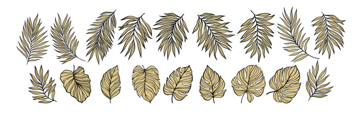 Decorative Illustration of Stylized Tropical and Exotic Leaves in a Linear Arrangement. Vector illustration