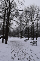 Snowy path and benches