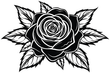 Black Rose Illustration